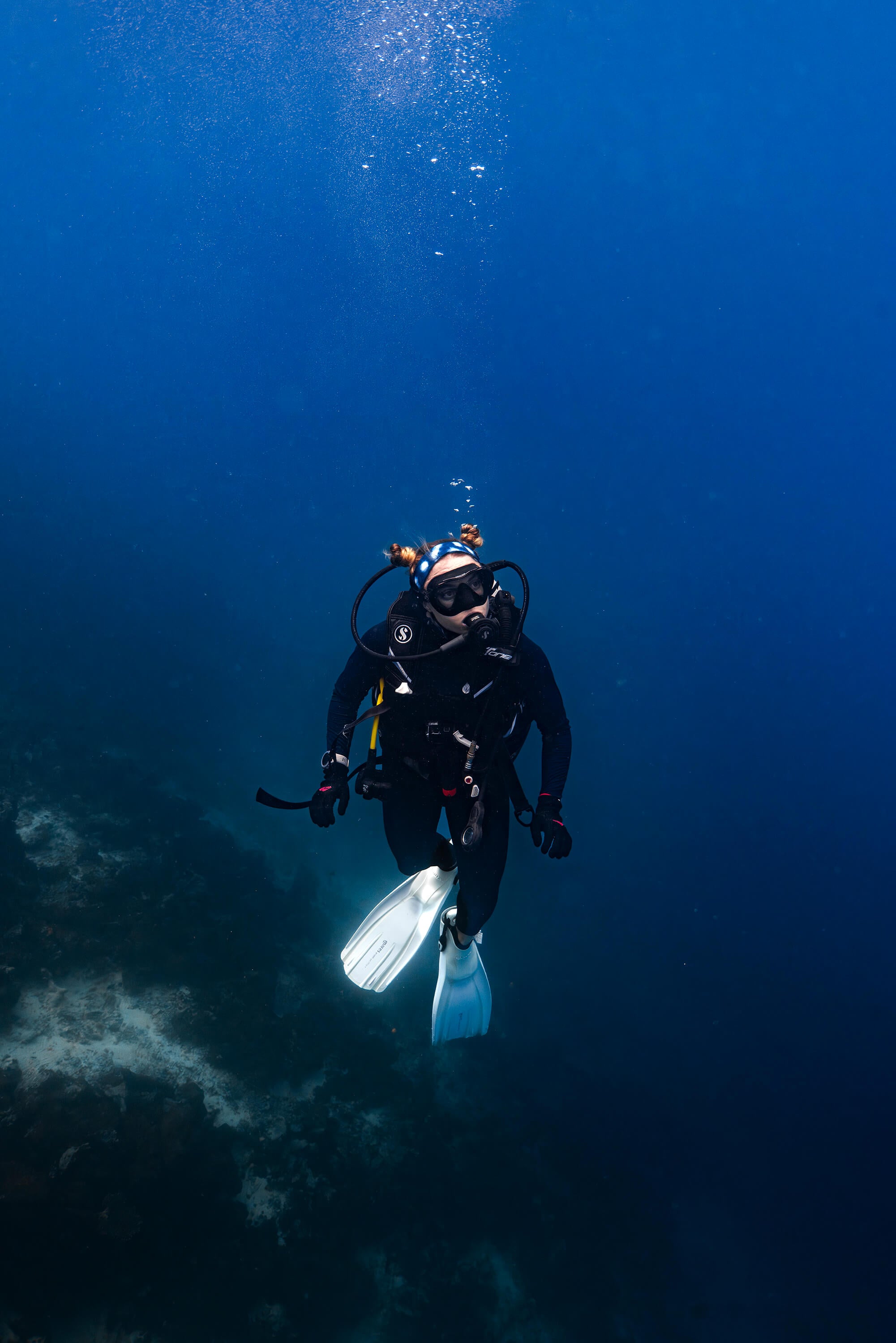 Whale Shark Headband