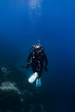 Load image into Gallery viewer, Whale Shark Headband
