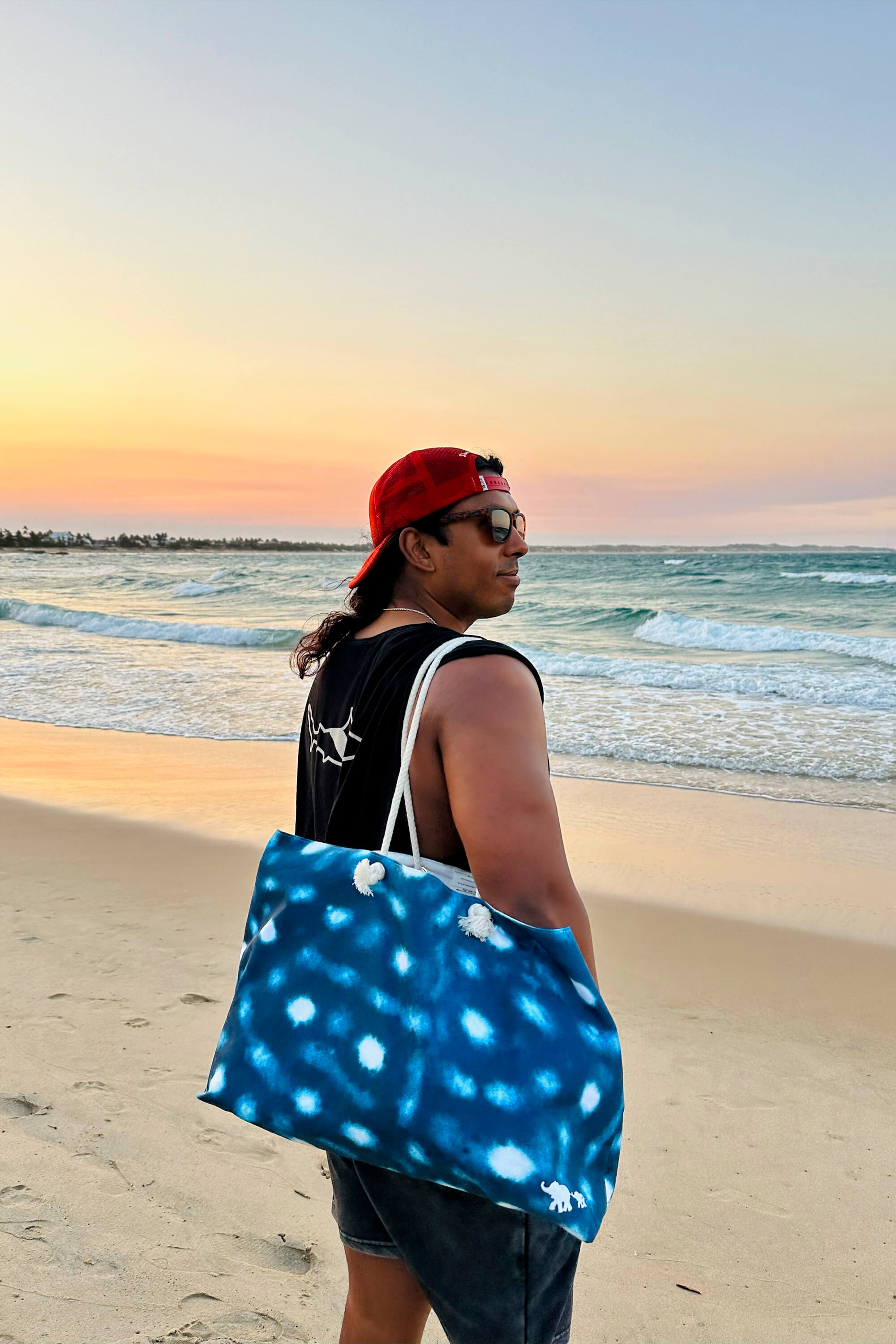 Whale Shark Weekender Beach Bag