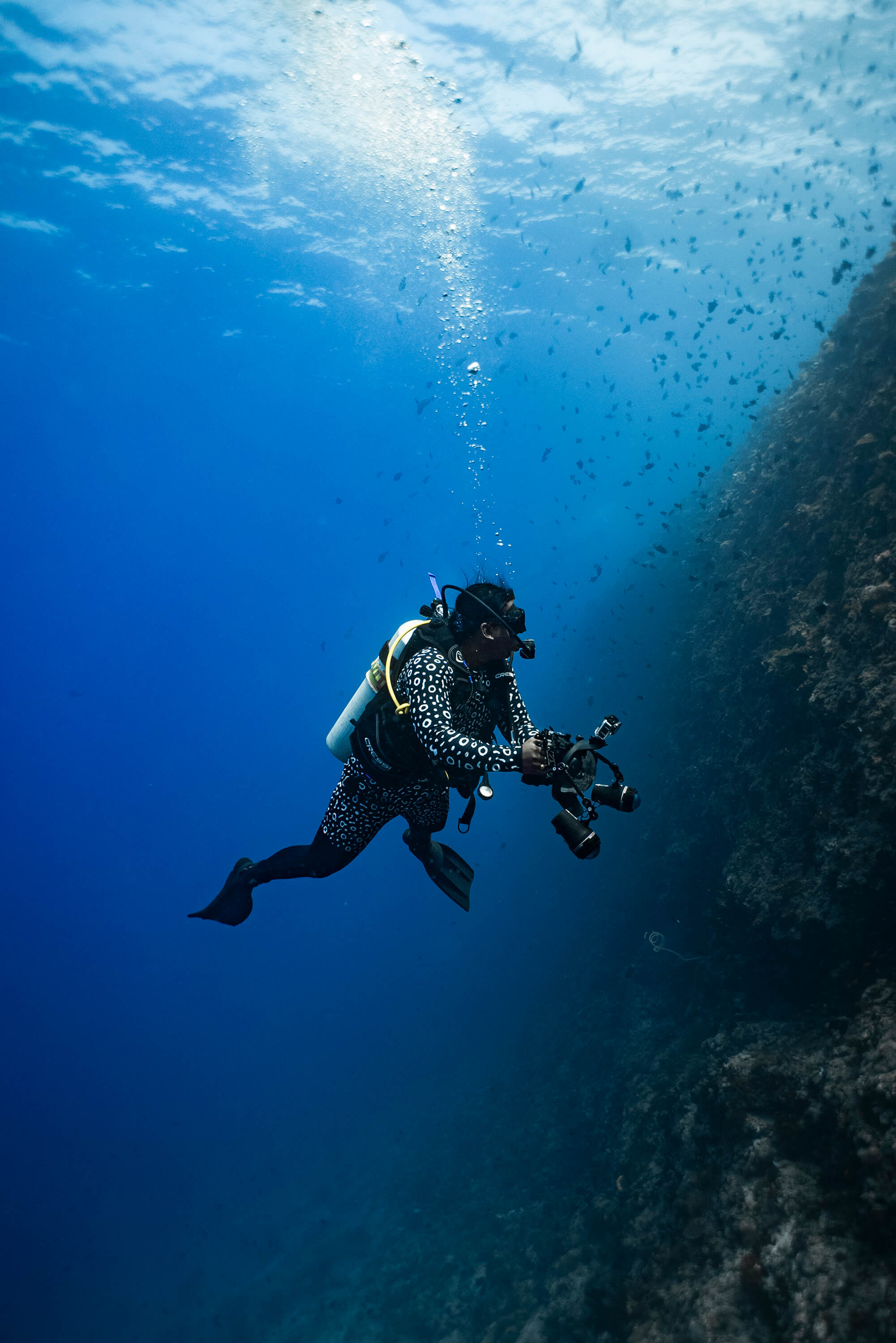 Diver swimming underwater near a rocky wall with sunlight filtering through the water, wearing an eagle ray patterned rash guard and shorts.