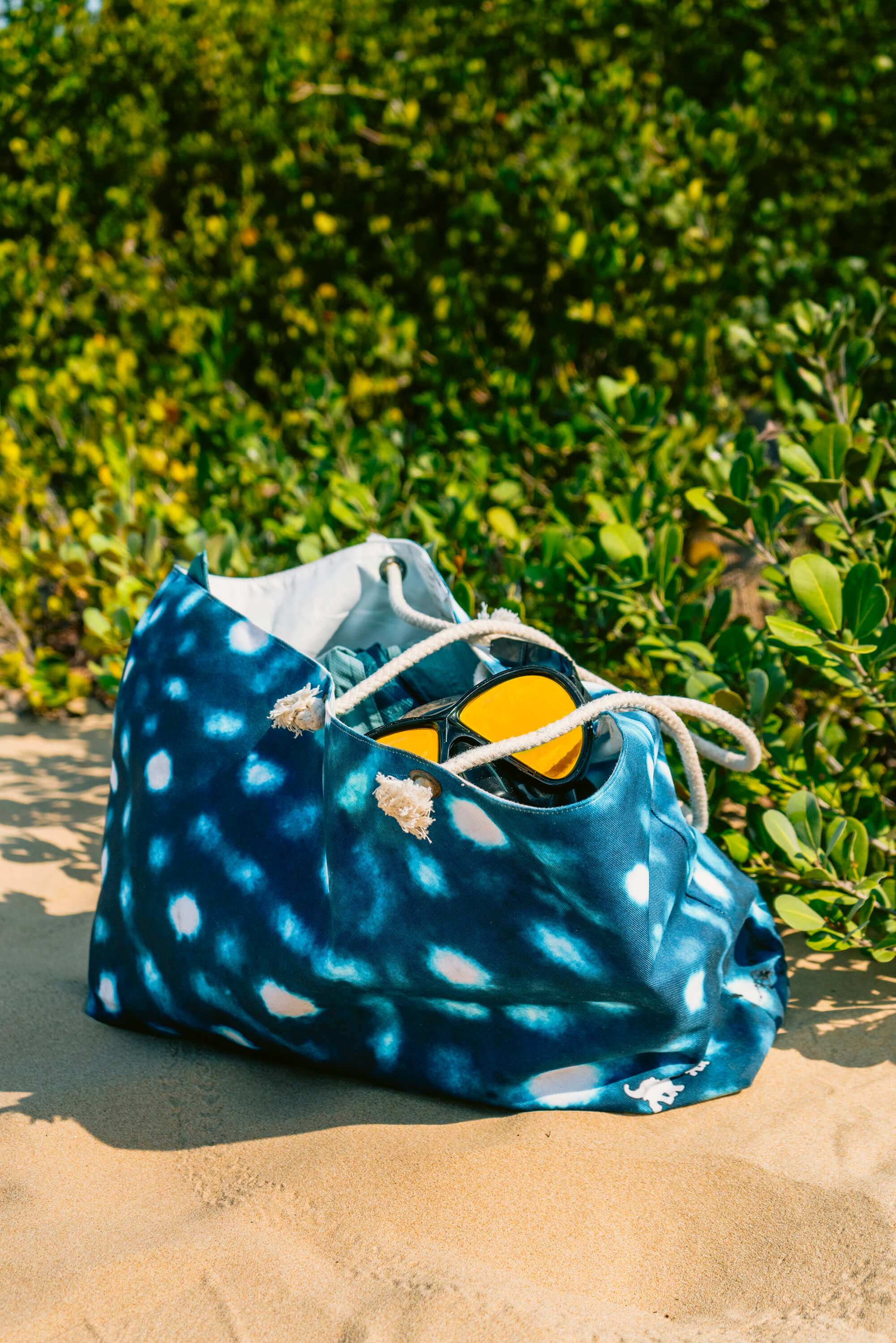 Whale Shark Weekender Beach Bag