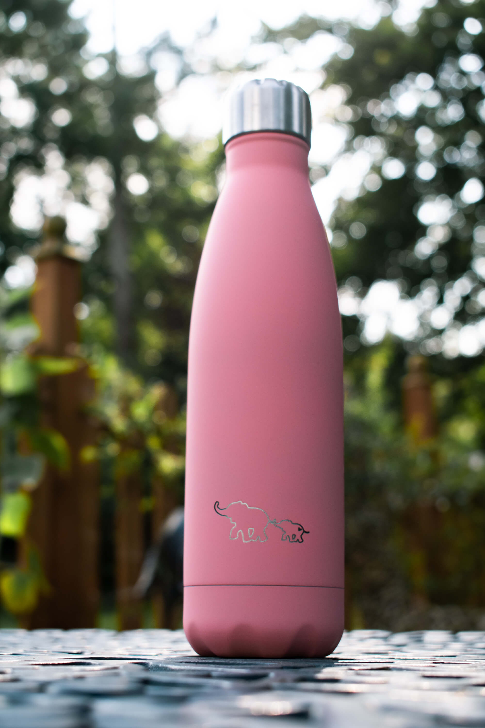 Anthia Pink Eco Bottle