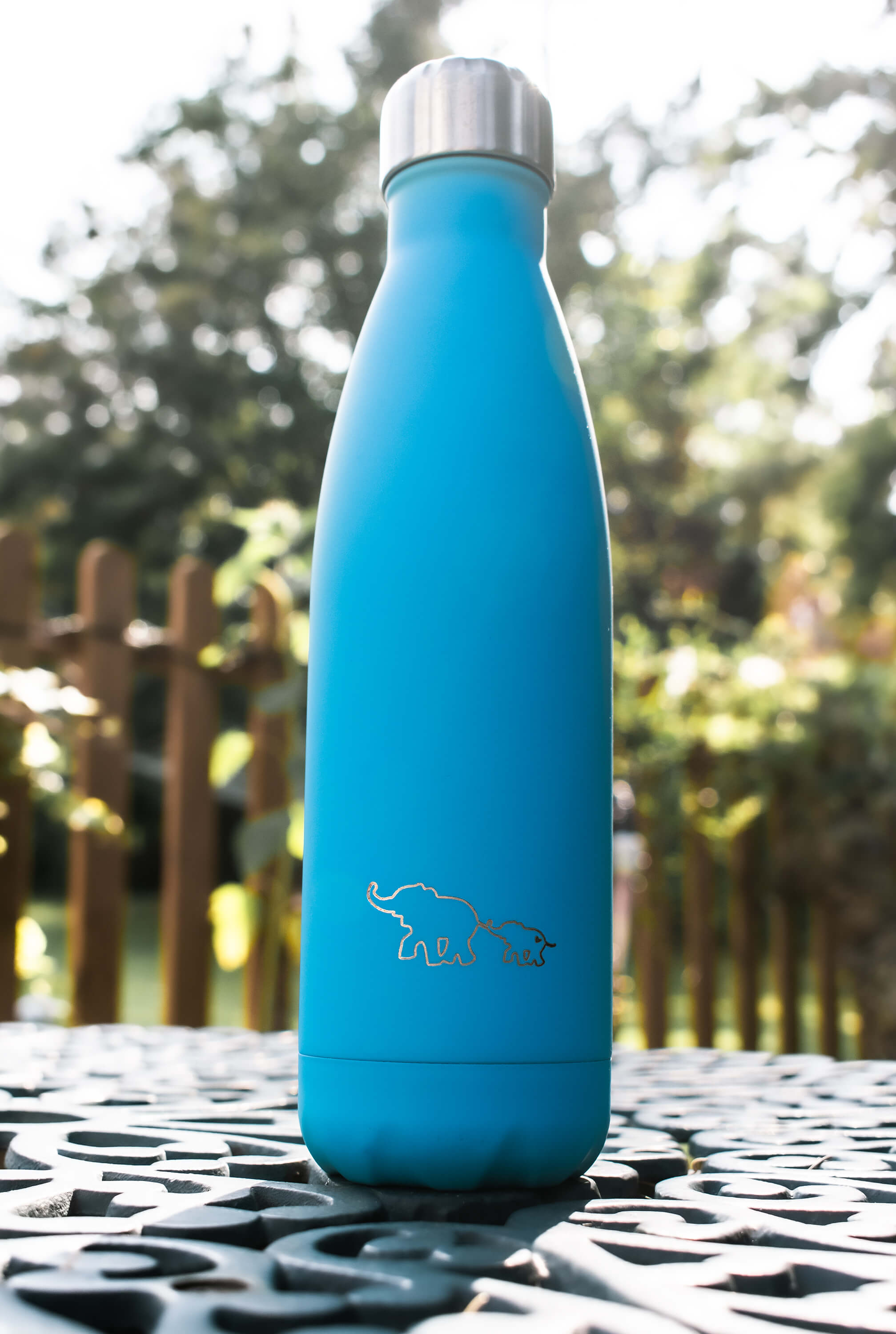 Chromis Blue Eco Bottle