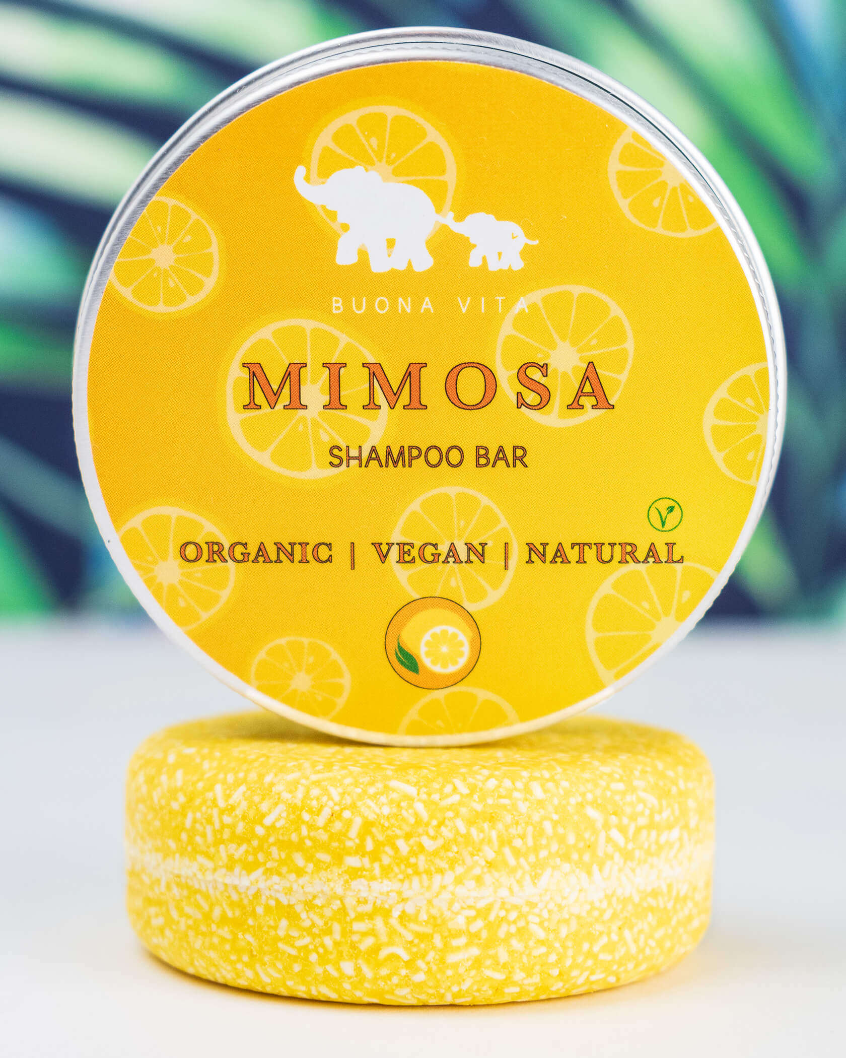 Mimosa Shampoo Bar