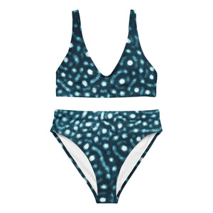 Whale Shark High-Waisted Bikini